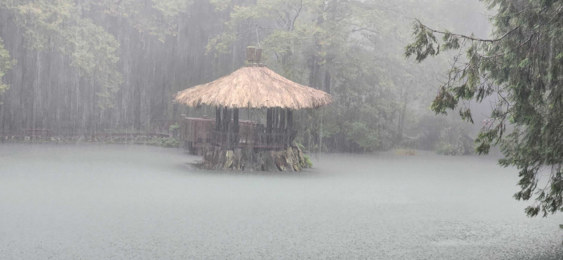阿里山國家森林遊樂區持續休園。(圖/翻攝自臉書@AlishanForest)