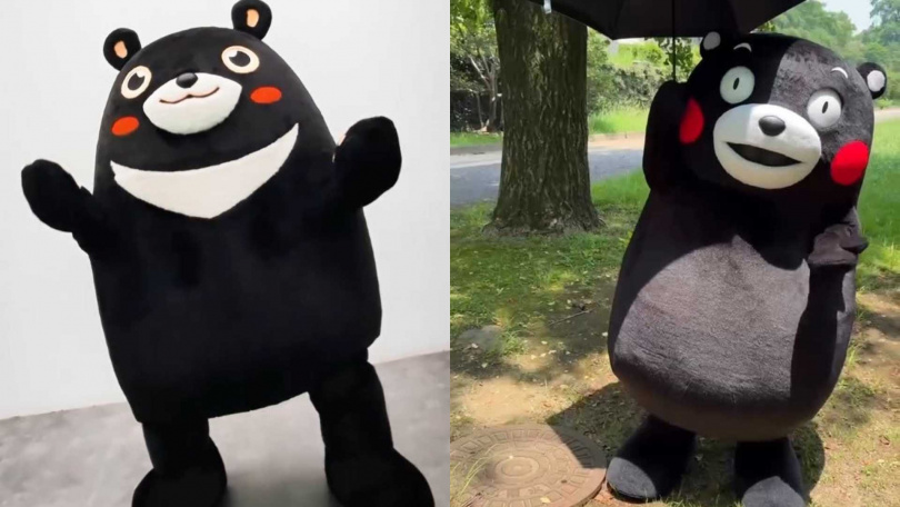 高雄熊（左）被誤認成日本的熊本熊。（圖／翻攝自高雄熊、熊本熊IG）