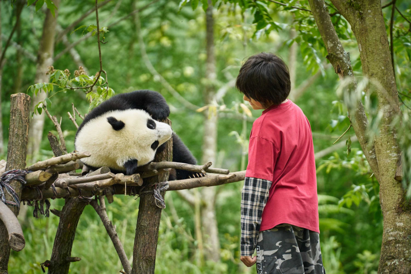 《熊貓月寶》熊貓和劉諾一感情渾然天成可愛又讓人感動。（圖／壹壹喜喜電影提
