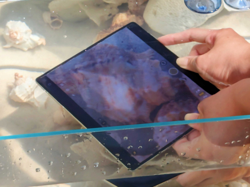 水下拍照測試。（圖／廖梓翔攝）