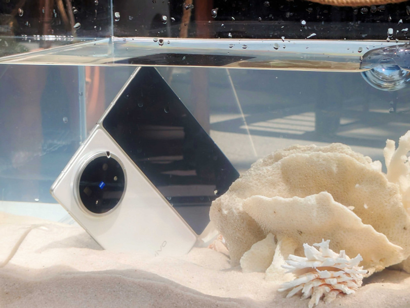 （圖／廖梓翔攝）