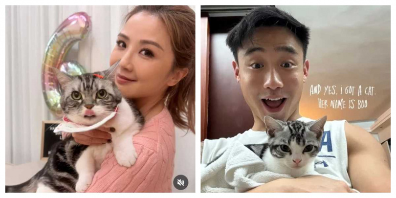 阿Sa與男友分別曬出與愛貓合影，被網友發現戀情端倪。（圖／翻攝自IG）