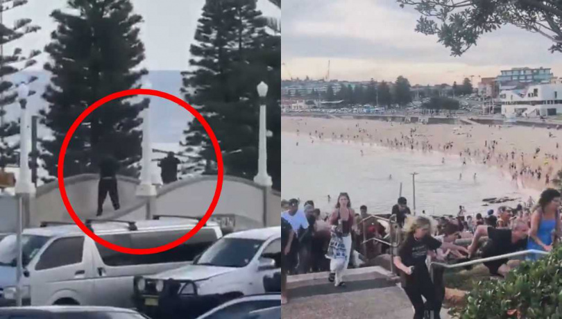 現場遊客驚慌逃竄。（圖／翻攝自X）