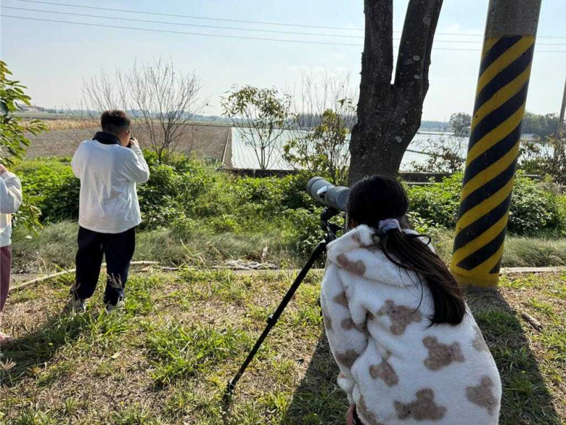 小辮鴴全國普查活動19日在雲林縣水林鄉黃金蝙生態館開跑,普查結果全台共1萬6029隻,其中雲林占1萬3829隻,雙雙刷新紀錄。(圖/吳崇漢提供)
