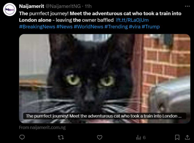 英國一隻貓咪日前獨自搭乘火車完成了長達28.5公里的旅程。（圖／翻攝自X）