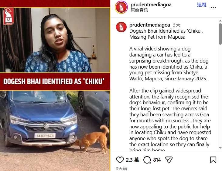 狗主證實這隻黃狗為失聯多時的愛犬奇庫,盼早日團聚。(圖/翻攝自IG,prudentmediagoa)