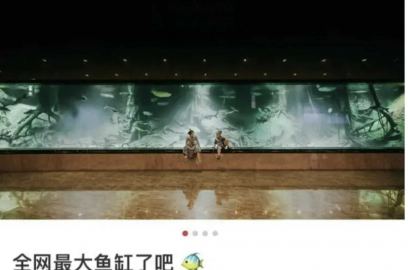 網傳陳志妻子擁有6架私人飛機與鯊魚水族箱,豪奢生活引發關注。(圖/翻攝自小紅書)