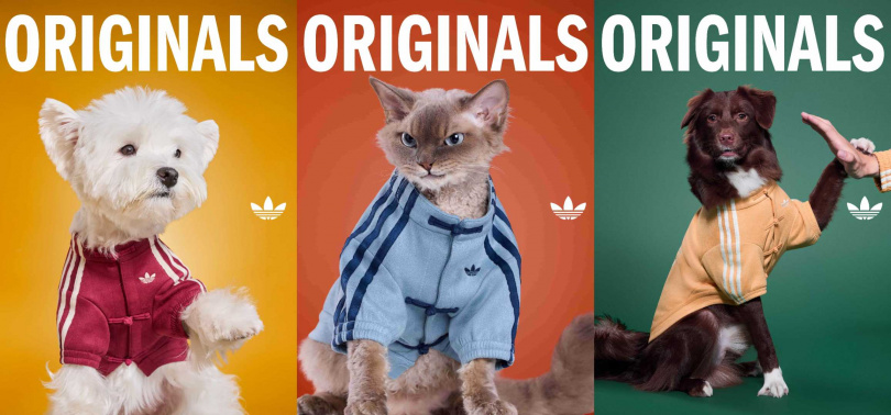 （圖／品牌提供）