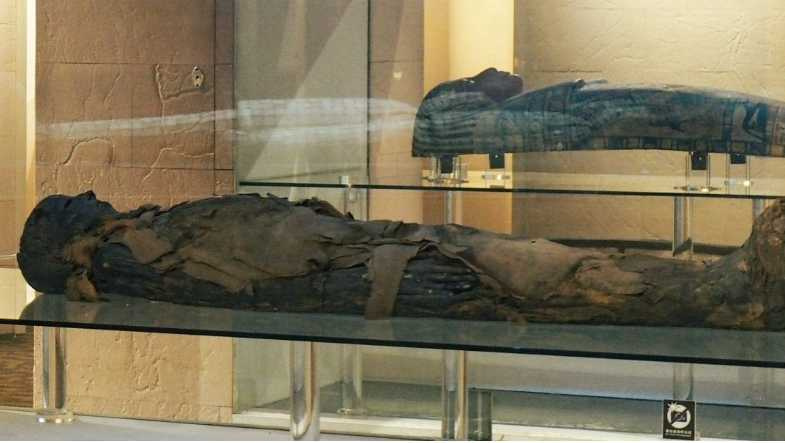 館方於2002年以約1000萬元購入木乃伊，距今約2300年。