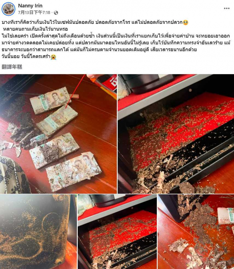 女子打開保險箱驚見大量鈔票遭白蟻啃食,事件曝光後引發泰國網友熱議。