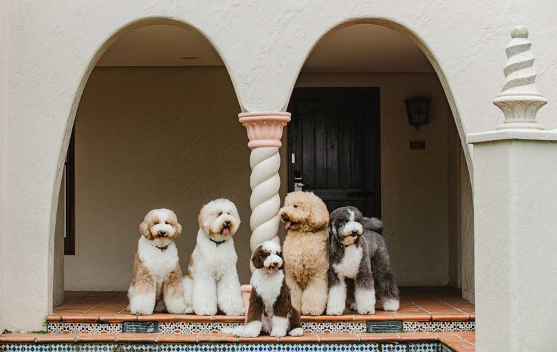 理想大地「毛樂地俱樂部」正式成立。(圖/理想大地提供)