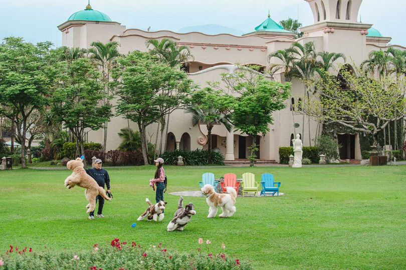 毛樂地俱樂部將6/27見面會當天將邀請花蓮高橋動物醫院院長殷宏源傳授夏日照護秘訣,並為毛孩提供健康諮詢服務。。(圖/理想大地提供)