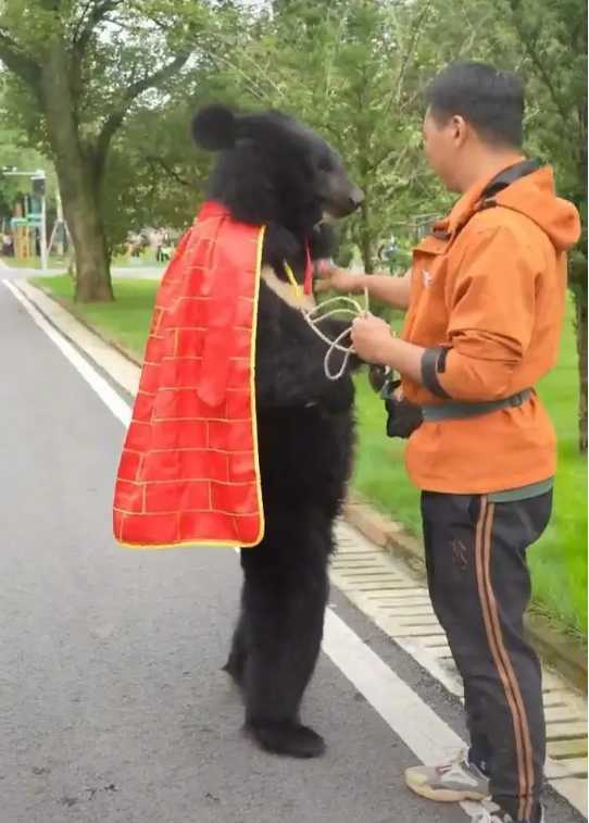 在網路上引起許多人誤解的照片。（圖／翻攝極目新聞）