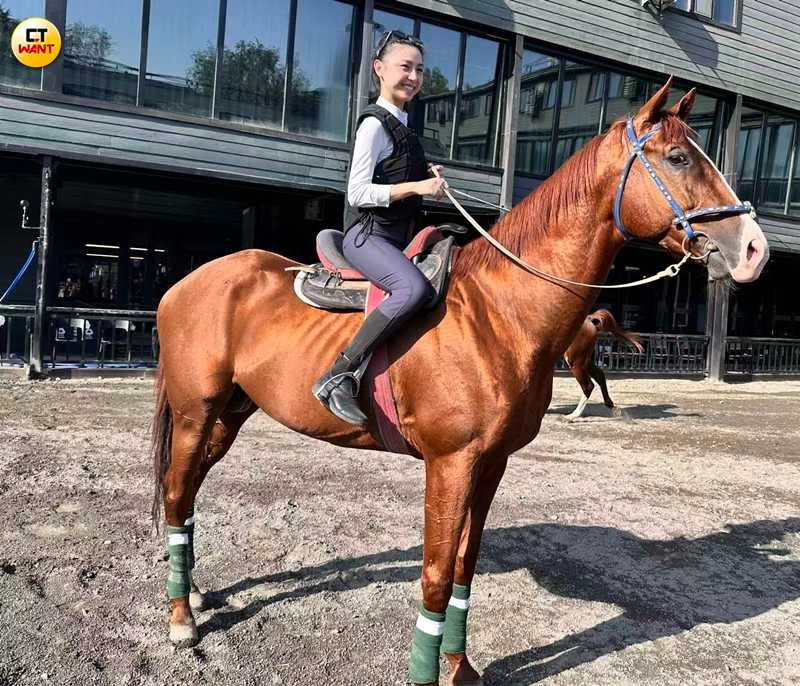 純種汗血寶馬在全球僅存約3,000匹，比大熊貓還稀少。（圖╱王若攝）