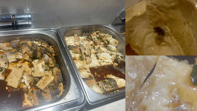 本刊曾接獲球員爆料，在8月2日的午餐「鱸魚豆腐」內有死蒼蠅，甚至出現活蛆。（圖／讀者提供）