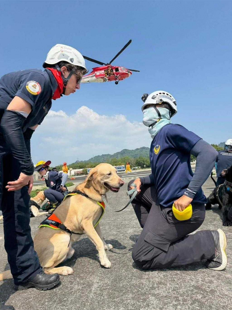 高市搜救犬們平日接受專業訓練。（圖／高市消防局提供）