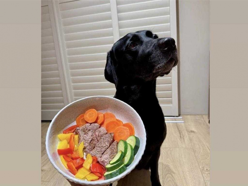 高市搜救犬平日伙食。（圖／高市消防局提供）