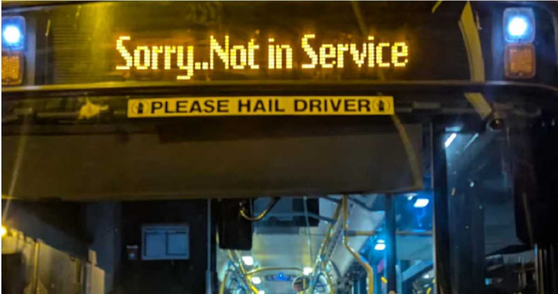 駕駛以外套覆蓋無尾熊頭部後，將牠安全帶上公車避險，並聯絡專業救援單位。