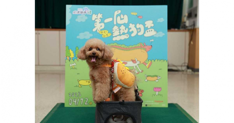 (圖/台南市政府提供。)