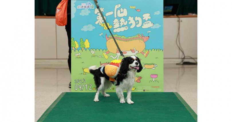 (圖/台南市政府提供。)