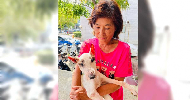 阿娥姐收養「小美」，辭工作專心照護。（圖／嘉縣府提供）