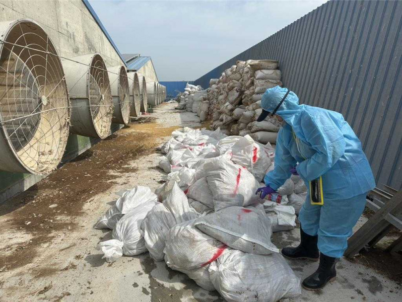 彰化縣芳苑鄉1場蛋雞場驗出禽流感病毒，動防所防疫人員19日晚間完成該蛋雞場撲殺清場及消毒工作。（圖／翻攝畫面）