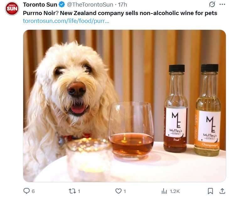 無酒精、無葡萄成分的寵物葡萄酒，經過專業調配，主打安全與放鬆功效。（圖／ 翻攝自X，@TheTorontoSun）