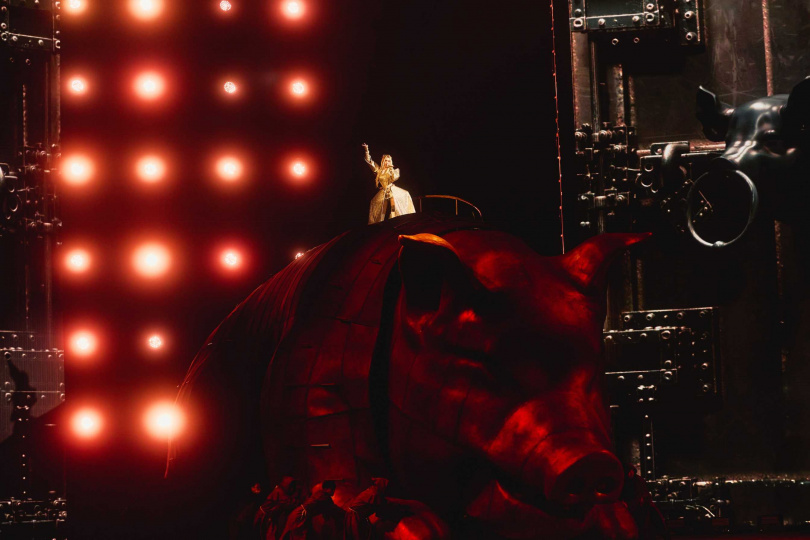 蔡依林換上金色「魅慾女王」造型,霸氣站上象徵貪、嗔、癡、慾的巨型「貪婪金豬」。(圖/凌時差提供)