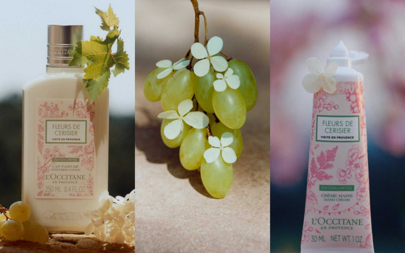 歐舒丹葡萄櫻花美體乳250ml／1,320元、歐舒丹葡萄櫻花護手霜30ml／420元（圖／品牌提供）