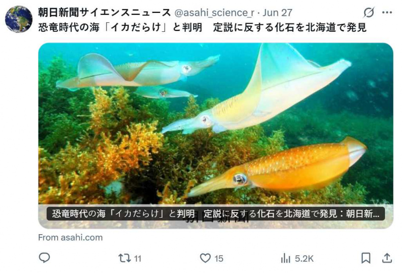 研究團隊利用自動裝置切削岩石並建立三維影像，成功揭示大量魷魚喙部化石。（圖／翻攝自X）