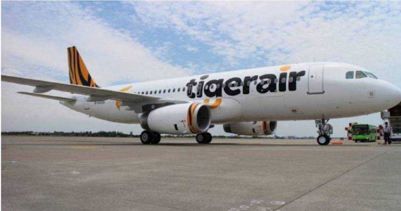 台灣虎航發放平均10.6個月的2025年年終獎金，2026年全體員工平均調薪5.3%，機師與時薪人員依各自薪資結構另行辦理。（圖／台灣虎航提供）