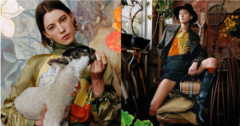 （圖／品牌提供）