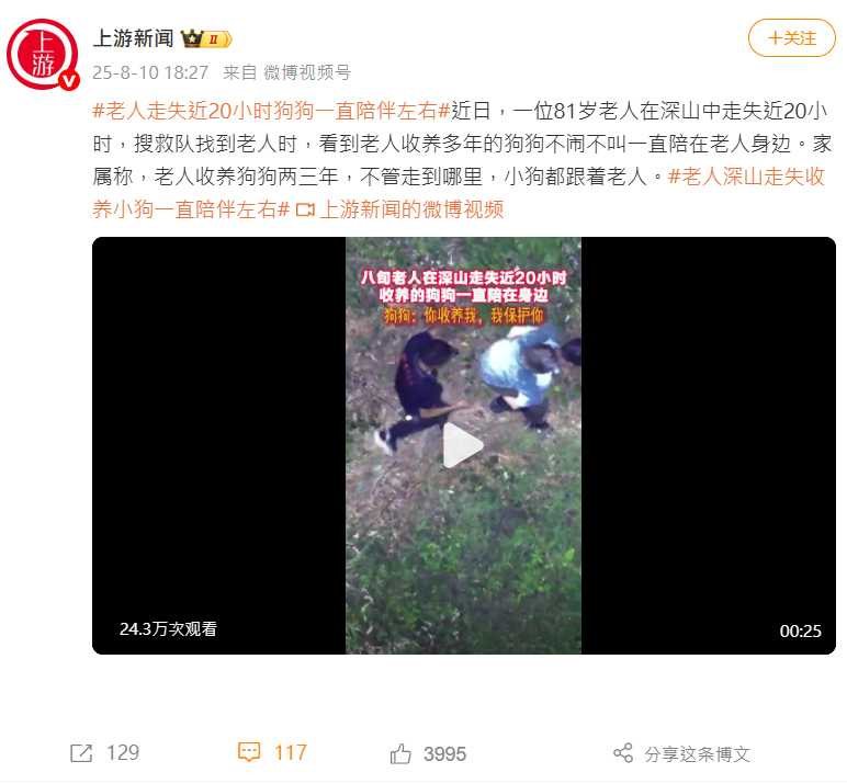 山東一名81歲老人獨自進山後迷路，收養多年的狗狗不離不棄守在身旁，最終與主人一同被救援人員找到。（圖／微博）