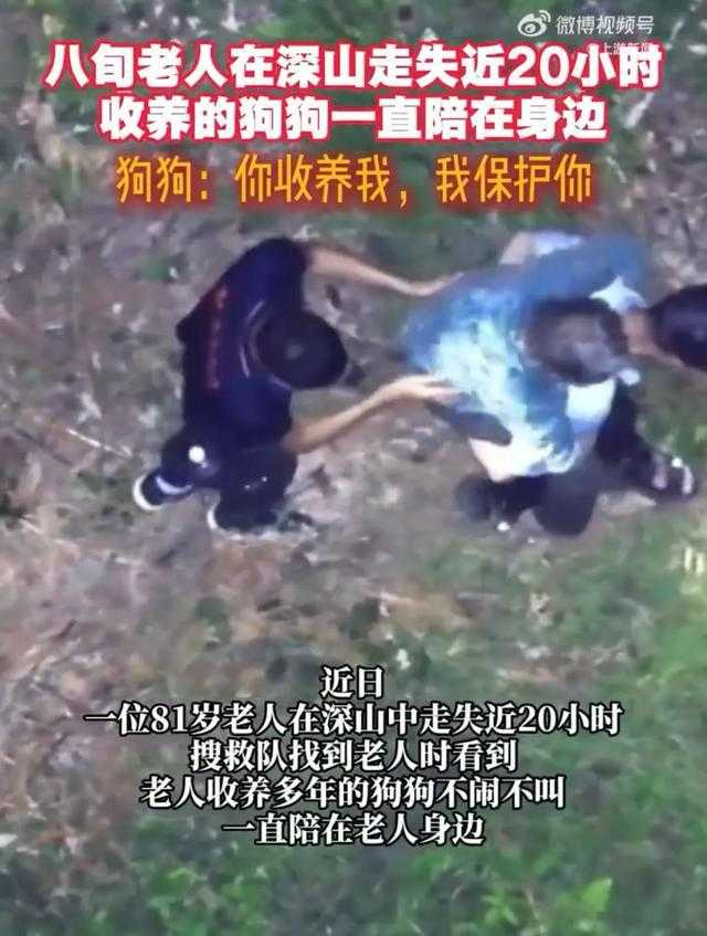 搜救隊在山谷發現老人時，狗狗安靜趴在主人腳邊守護，直到確認安全後才讓人靠近。