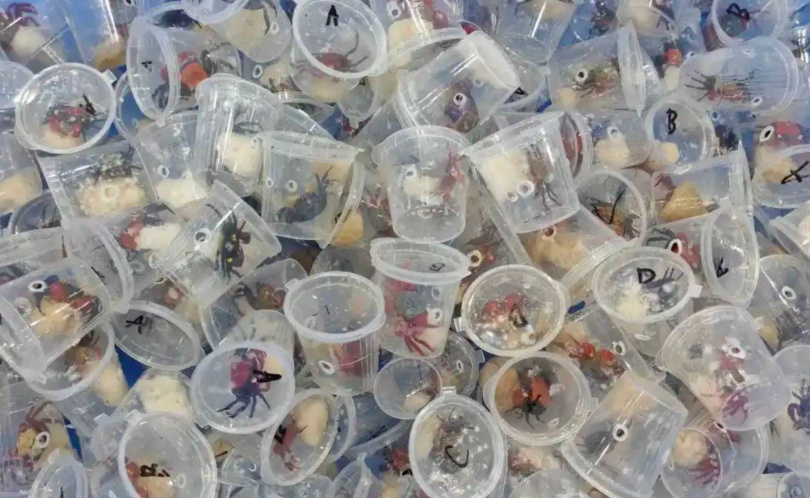每個盒子裡都裝著一隻小型活體蟹。（圖／翻攝自微博／海關發布）