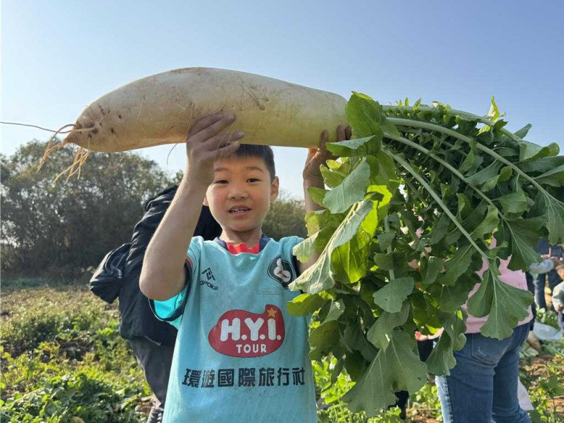 為讓學童們遠離3C，鼓勵體驗農作走進大自然，圓頭農牧食品公司連續第3年舉辦「追源頭‧拔菜頭」公益家庭日活動。（圖／中國時報于家麒攝）