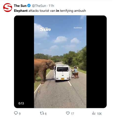 斯里蘭卡一頭野象伸鼻攻擊觀光車,當場扯下車門,畫面驚險。(圖/翻攝自X,@TheSun)