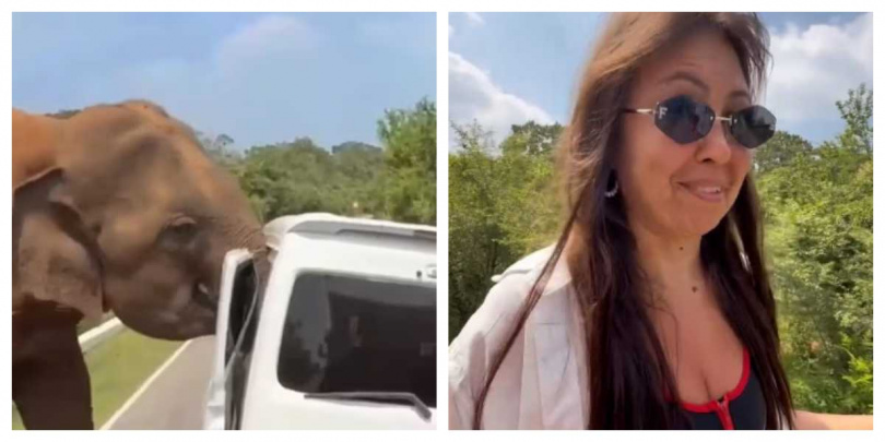 旅客事後仍心有餘悸:「這趟旅行,我們永生難忘。(圖/翻攝自IG,miklovsky)