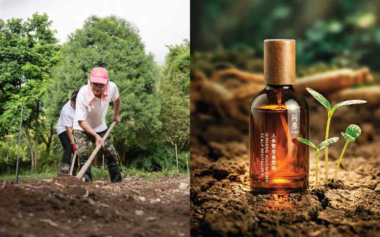 阿原人參豐盈養髮液全新上市，將養土之道延伸至頭皮養護（圖／品牌提供）