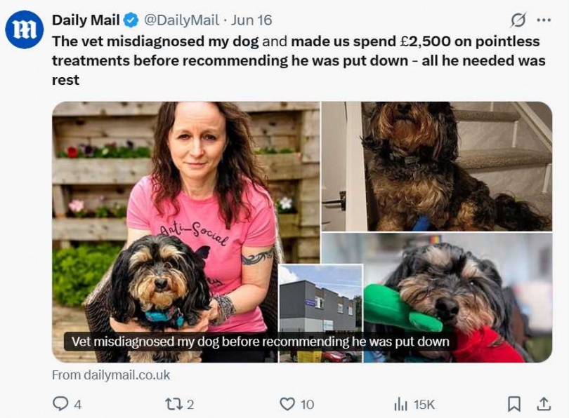 愛犬Coco經歷錯誤治療與幾近安樂死,如今靠正確診斷康復。(圖/翻攝自X)