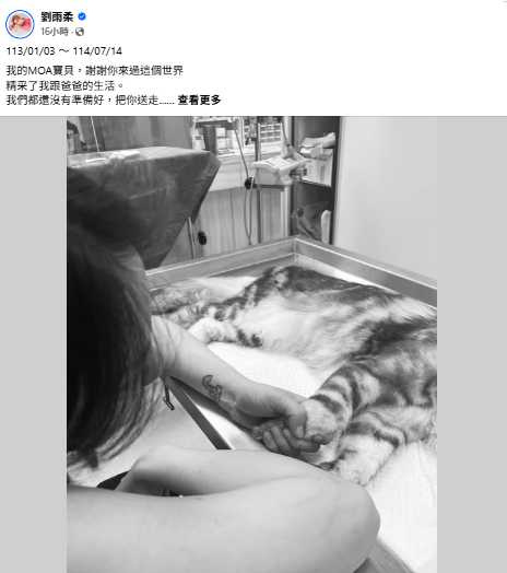 劉雨柔倒數迎產卻痛失愛貓MOA,悲痛發文悼。(圖/翻攝自Facebook/劉雨柔)