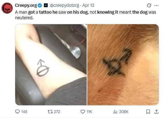 熊熊腹部上的刺青，是常見的寵物結紮標記。（圖／翻攝自X，@creepydotorg）