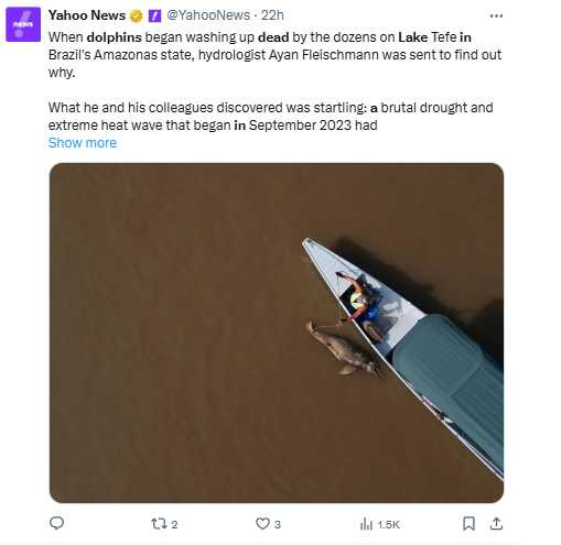 研究人員於亞馬遜特費湖打撈死亡海豚，環境溫度極高，湖泊面積大幅縮減，水中缺氧與高溫導致大量生物死亡。（圖／翻攝自X，@YahooNews）