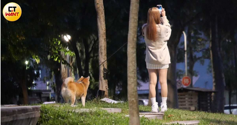 隨後由男子接手駕駛，先前往台北市民生社區一處公園，禹菡帶著柴犬瑞秋散步。（圖／本刊攝影組）