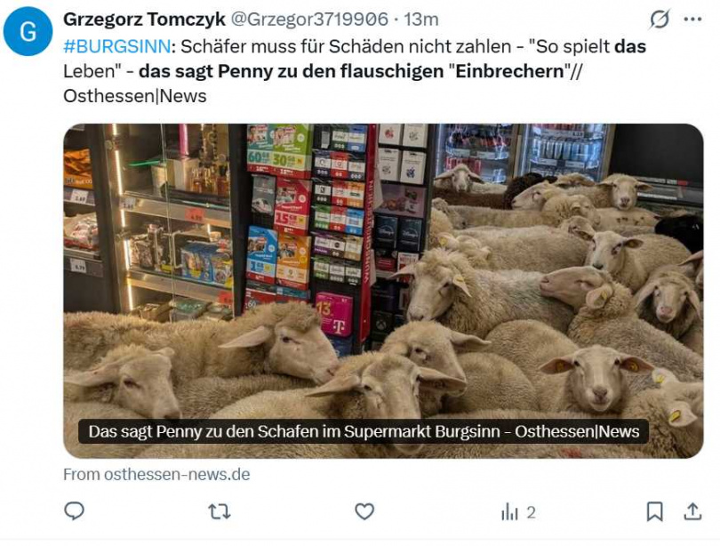 影片在德國社群平台瘋傳，不少網友建議Penny將事件改編成廣告。（圖／翻攝自X，@Grzegor3719906）