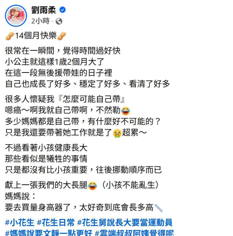 劉雨柔分享0後援育兒生活,透露常被懷疑「怎麼可能自己帶」,讓她無奈反問「不然勒?」(圖/翻攝自臉書,劉雨柔)