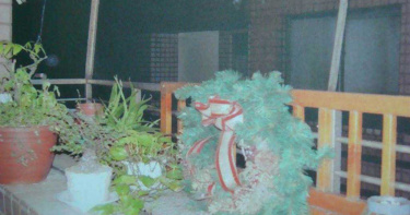 奇案/檢警重回3死現場!陰風刺骨「偵查隊長腹瀉3天」 管理員抖曝:3個便當誰叫的…