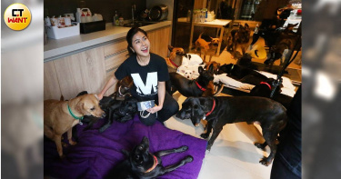 「台灣瑪莉愛狗協會Mary's Doggies」理事長蔡殷殷（Mary），13年前開始救援浪浪，至今已經成功拯救超過2千隻流浪狗，送養至國外。（圖／趙世勳攝）