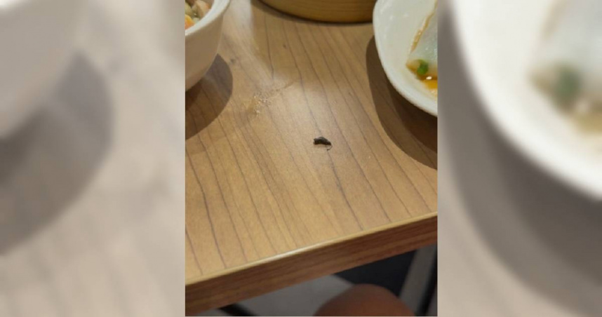 （圖／翻攝自臉書／新竹報料公社）