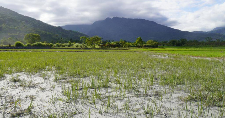 花蓮馬太鞍溪堰塞湖溢流潰決，下游光復鄉許多農地都被淤泥覆蓋。（圖／中時記者羅亦晽攝）